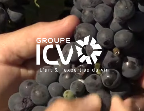 refonte du site Groupe ICV